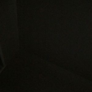 Meet your Posher, Donald